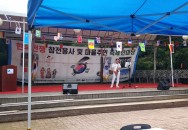 23년 6월 경기도 화성시 축제한마당 - 색소폰연주